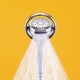 Illustration for article titled Cry About the Nightmare Economy Under Kohler's Flipside Showerhead